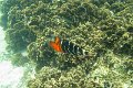 IMG_2066 (3)